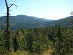 192 Acres of Prime Sub dividable Recreation land . Near Red Mountain Resort