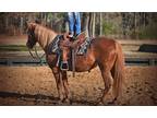 2007 | 13.2h | Sorrel Quarter Pony Mare