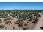 Plot For Sale In Show Low, Arizona