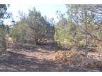 Plot For Sale In Show Low, Arizona