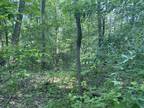 Plot For Sale In Princeton, Indiana
