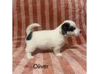 Oliver