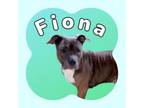 Adopt Fiona a Mixed Breed