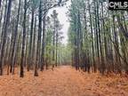 Plot For Sale In Kershaw, South Carolina