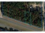 Plot For Sale In Williston, Florida