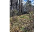 Plot For Sale In Mount Airy, North Carolina