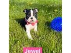 Jewel