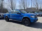 2012 Ford F-150 FX4