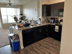 Roommate wanted to share 1 Bedroom 1 Bathroom Apartment...