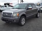 2010 Ford F-150 Platinum