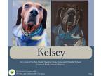 Adopt Kelsey a Brown/Chocolate Hound (Unknown Type) dog in Gilbertsville