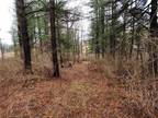 Plot For Sale In Ithaca, New York