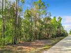 Plot For Sale In Archer, Florida