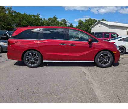 2024 Honda Odyssey Elite is a Red 2024 Honda Odyssey Elite Car for Sale in Wilkes Barre PA
