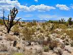 30390 N Dutton Dr Lot 182 Meadview, AZ -