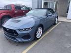 2024 Ford Mustang Blue, new