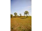 Plot For Sale In Stockton, Missouri