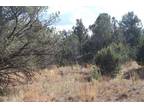 Plot For Sale In Vernon, Arizona