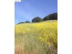 Plot For Sale In El Sobrante, California