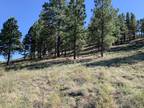 Plot For Sale In Flagstaff, Arizona