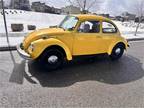 1974 Volkswagen Super Beetle