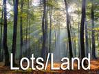 Plot For Sale In Beaverdam, Virginia