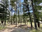 Plot For Sale In Ruidoso, New Mexico