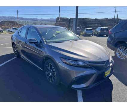 2024NewToyotaNewCamry is a Grey 2024 Toyota Camry Car for Sale in Ukiah CA