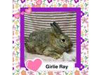 Adopt Girlie Ray a Bunny Rabbit