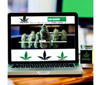 Start Your Own Virtual Dispensary - 100% Legal is a Full Time Start Your Own Virtual in Business Opportunity Job at Smokinbiz in San Diego CA