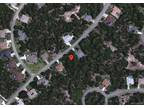 Plot For Sale In Homosassa, Florida