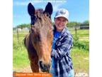 Adopt Tahoe a Thoroughbred, Grade