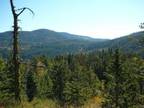 192 Acres of Prime Sub dividable Recreation land. Near Red Mountain Resort