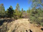 Plot For Sale In Round Mountain, California