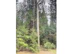 Plot For Sale In Pollock Pines, California