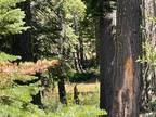 Plot For Sale In Bucks Lake, California