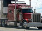 Business For Sale: Trucking & Brokerage Business For Sale
