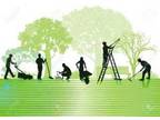 Business For Sale: Landscape Maintenance Company