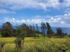 Plot For Sale In Ookala, Hawaii