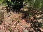 Plot For Sale In Guerneville, California