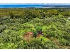Plot For Sale In Hilo, Hawaii