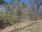Gladwin, Four wooded lots with water access just down the