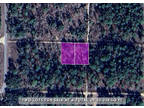 Land for Sale by owner in Williston, FL