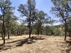 Plot For Sale In Cottonwood, California