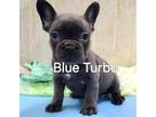 Blue Turbo