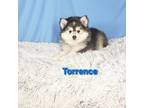 Torrence