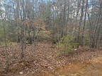 Land for Sale by owner in Marion, NC