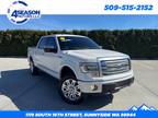 2014 Ford F-150 Platinum for sale