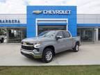 2024 Chevrolet Silverado 1500 Gray, new