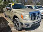 2010 Ford F-150 For Sale